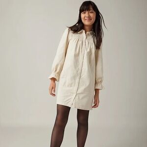 VGUC Basic Neutral Collared Corduroy Long Sleeve Dress